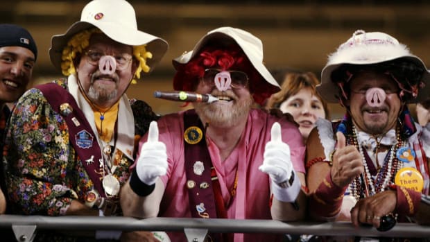 hogs